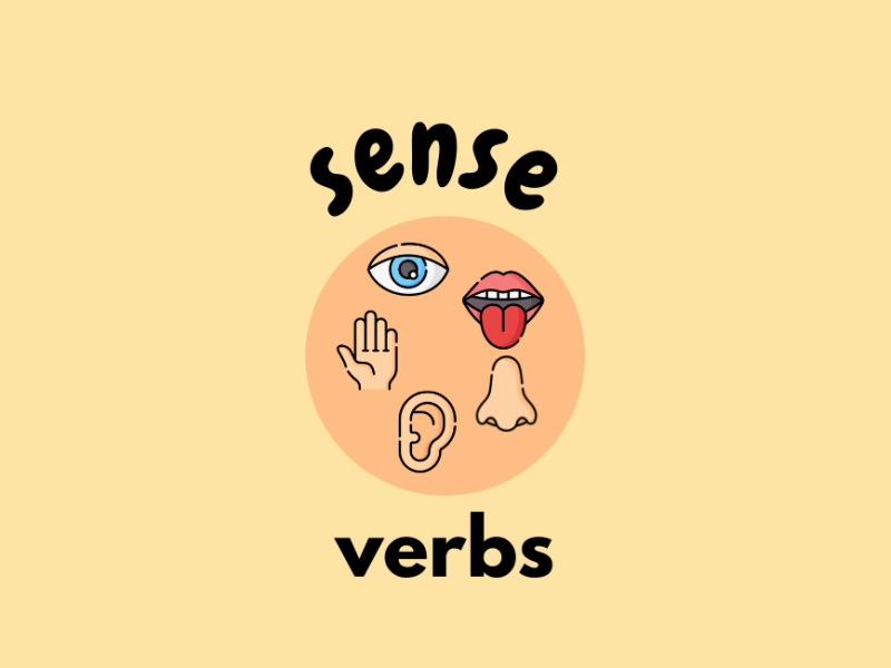 Sense verbs